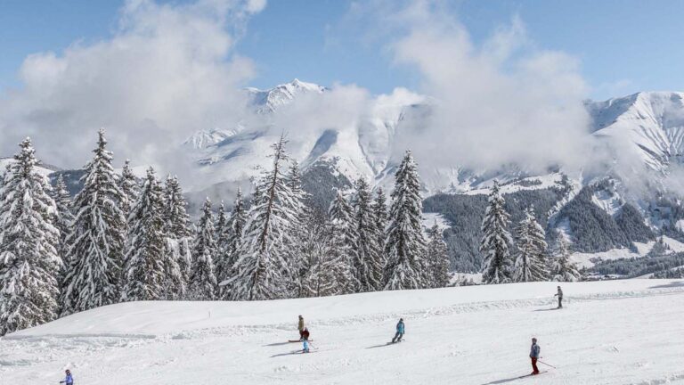 L'image montre des skieurs sur une montagne enneigé avec un paysage époustouflant de plusieurs montagnes enneigées et beaucoup d'arbres enneigés.