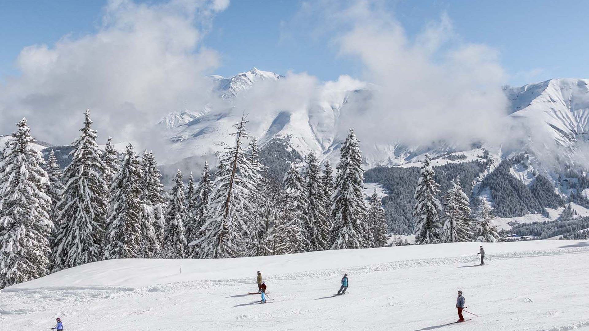 L'image montre des skieurs sur une montagne enneigé avec un paysage époustouflant de plusieurs montagnes enneigées et beaucoup d'arbres enneigés.